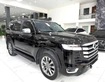 1 Bán Land Cruiser LC300 sản xuất 2024, lên full bodykit Trung Đông.