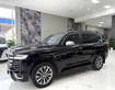 2 Bán Land Cruiser LC300 sản xuất 2024, lên full bodykit Trung Đông.