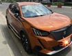 Peugeot 2008 2021 Cam