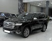 2 Land Cruiser LC300 sản xuất 2024 siêu lướt, full Bodykit và PPF.