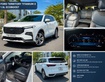 Ford Territory   Giá Chỉ 750 Triệu