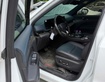 3 Ford Territory   Giá Chỉ 750 Triệu