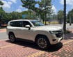 4 Land Cruiser LC300 sản xuất 2021. Giá chỉ loanh quanh 4 đồng.