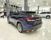 1 LEXUS RX300- Sản Xuất 2021 Xe Rất mới đẹp, Sơn Zin 99,999