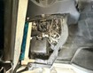 9 Bán Xe Tải Srm Van Sx 2024