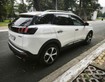 1 CẦN BÁN PEUGEOT 3008  2019  xe gia đình đẹp, bảo dưỡng kỹ đăng kiểm cực dài