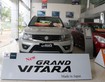 Xe Grand VITARA khung 2014  Đỉnh   Nhập khẩu nguyên chiếc chính hãng mới 100 năm 2015