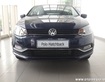 1 Xe Đức Volkswagen Polo 1.6L  Sedan-Hatchback. Ưu đãi cực lớn cuối năm tại Đà Nẵng
