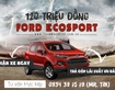 3 Với 120 triệu đồng sở hữu ô tô Ford Ecosport tại Bình Định