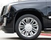 4 Cadillac Escalade Platinum sản xuất 2018, Model 2019 thùng ngắn, bản mới nhất