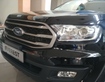 1 HCM  Ford Everest 4x2 Số Tự Động 2019 Mới Giảm Tiền Mặt Tặng Ghế Da Film Cách Nhiệt