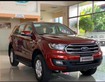 6 Ford Everest 2019 siêu khuyến mại mùa hè