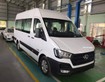 Hyundai Solati 16 chỗ