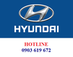6 Hyundai Solati - xe khách 16 chỗ