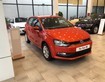 6 POLO HATCHBACK   Xe VOLKSWAGEN nhập khẩu nguyên chiếc thương hiệu Đức 6 POLO HATCHBACK   Xe VOLKSWAGEN nhập khẩu nguyên chiếc thương hiệu Đức