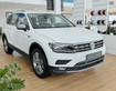 Mua Tiguan Topline tặng ngay 50 phí trước bạ kèm nhiều chương trình đến 30/8/2020