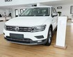 2 Mua Tiguan Topline tặng ngay 50 phí trước bạ kèm nhiều chương trình đến 30/8/2020