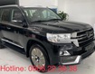 2 Bán Toyota Land Cruise VX S 4.6 nhập Trung Đông 2020, bản full kịch đồ,xe giao ngay