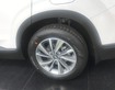 1 Hyundai Santafe 2.4L 2020