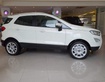 1 Ford Ecosport 2020