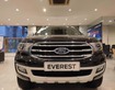 1 Cần bán Ford Everest Biturbo 2.0L 2020