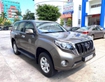 Land Cruiser Prado 2014