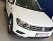 Volkswagen xe nhập khẩu