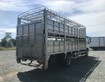 Xe tải Thaco Ollin 7 tấn chở gia súc