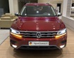 4 Volkswagen TIguan Allspace 2021 SUV bán chạy nhất thị trường Châu Âu