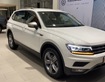 9 Volkswagen TIguan Allspace 2021 SUV bán chạy nhất thị trường Châu Âu