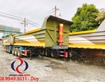 1 SMRM cicm xinhong dong