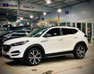 Hyundai tucson phiên bản đặc biệt