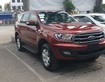 Ford everest chinh phục đỉnh cao