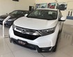 Nhận giữ chỗ crv 2020 facelift lô đầu miễn phí