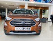 Ecosport titanium 2020 giảm 50 trước bạ