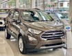 Ford ecosport mẫu mới 2020 khuyến mãi khủng
