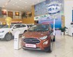 Ford ecosport 2020 tặng 1 năm bhtv