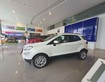 Ford ecosport 2021 tự đông giá cực tốt trong tháng