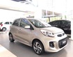 Kia morning vàng cát 2019 tự động mới 100