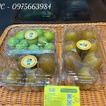 Gợi ý mẫu hộp nhựa đựng hoa quả P500C chất lượng trên thị trường