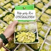 Hộp giấy nắp trong thiết kế đa dạng