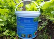 Trichoderma Nấm Đối Kháng Chế Phẩm Vi Sinh Vật 