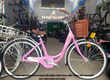 Xe Đạp Phổ Thông 26 Inch Vicky VM26 
