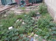 Giảm 2 tỷ. cần bán gấp siêu phẩm mặt phố mới của Thuỵ Khuê 90m2, mặt tiền rộng,...