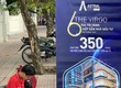 Căn Hộ Cao Cấp Phức Hợp Thương Mại 