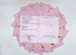 Vì sao The Eco Point vẫn luôn được các nhà đầu tư săn đón ráo riết, đặc biệt...