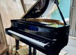 Đàn Grand Piano HUAERSEN GP142  85166XX 