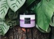 Review Nến thơm Bath and Body Works 3 bấc 