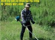 Dịch vụ cắt cỏ ,phát quang sân vườn trang trại