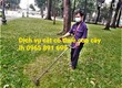 Dịch vụ phát hoang don cỏ ,sân vườn tại Quảng ninh
